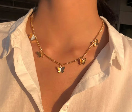 Butterfly   Golden chain